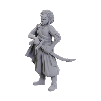 D&D Nolzur's Mini: Ansalon Human Rogue