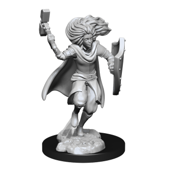 D&D Nolzur's Mini: Changeling Male Cleric