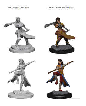 Nolzur'S Marvelous Miniatures: Human Female Monk