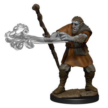 Nolzur Male Firbolg Druid