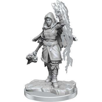 Dungeons & Dragons Nolzur's Mini: Half-Elf Warlock